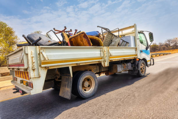 Yard Cleanup Services in South Willard, UT